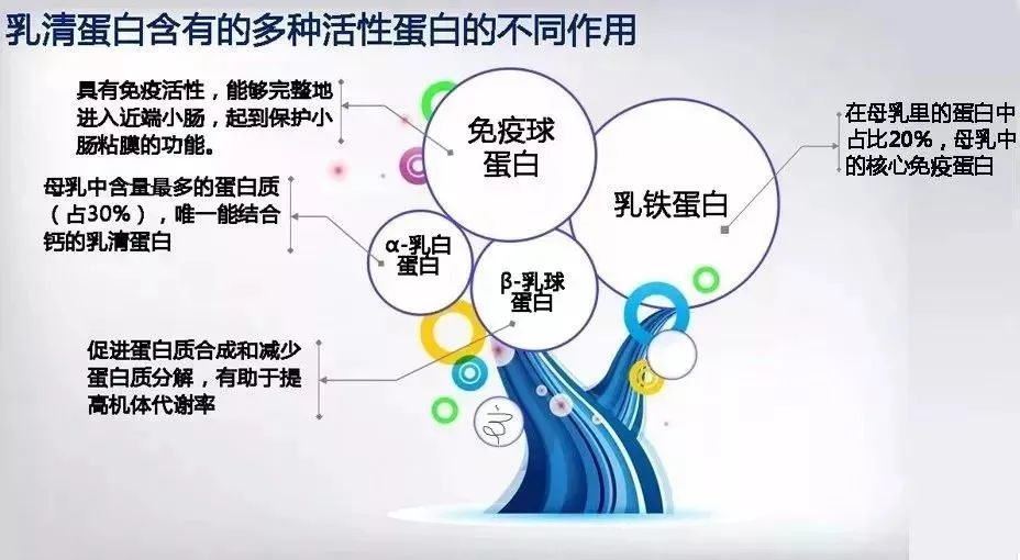 為什么建議寶寶吃乳鐵蛋白？乳鐵蛋白不得不知的好處