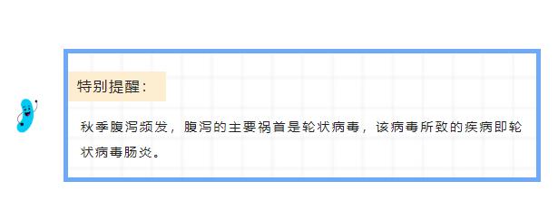 警惕秋季腹瀉 | 輪狀病毒患兒不僅存在腸道菌群失調(diào)，還常伴免疫功能受損