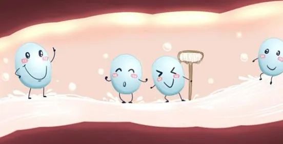 “孕期”為什么要補(bǔ)充益生菌？直接關(guān)系到“嬰兒”的健康