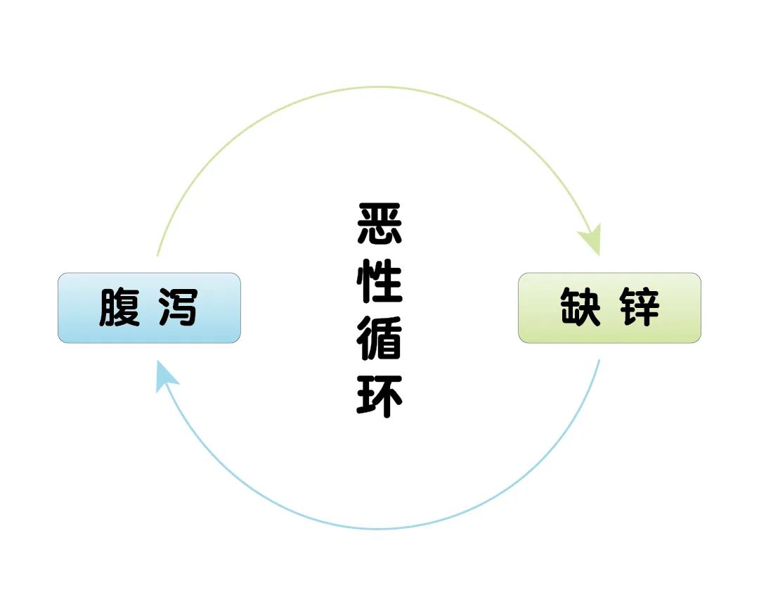 寶寶腹瀉期間，為什么要補(bǔ)鋅？
